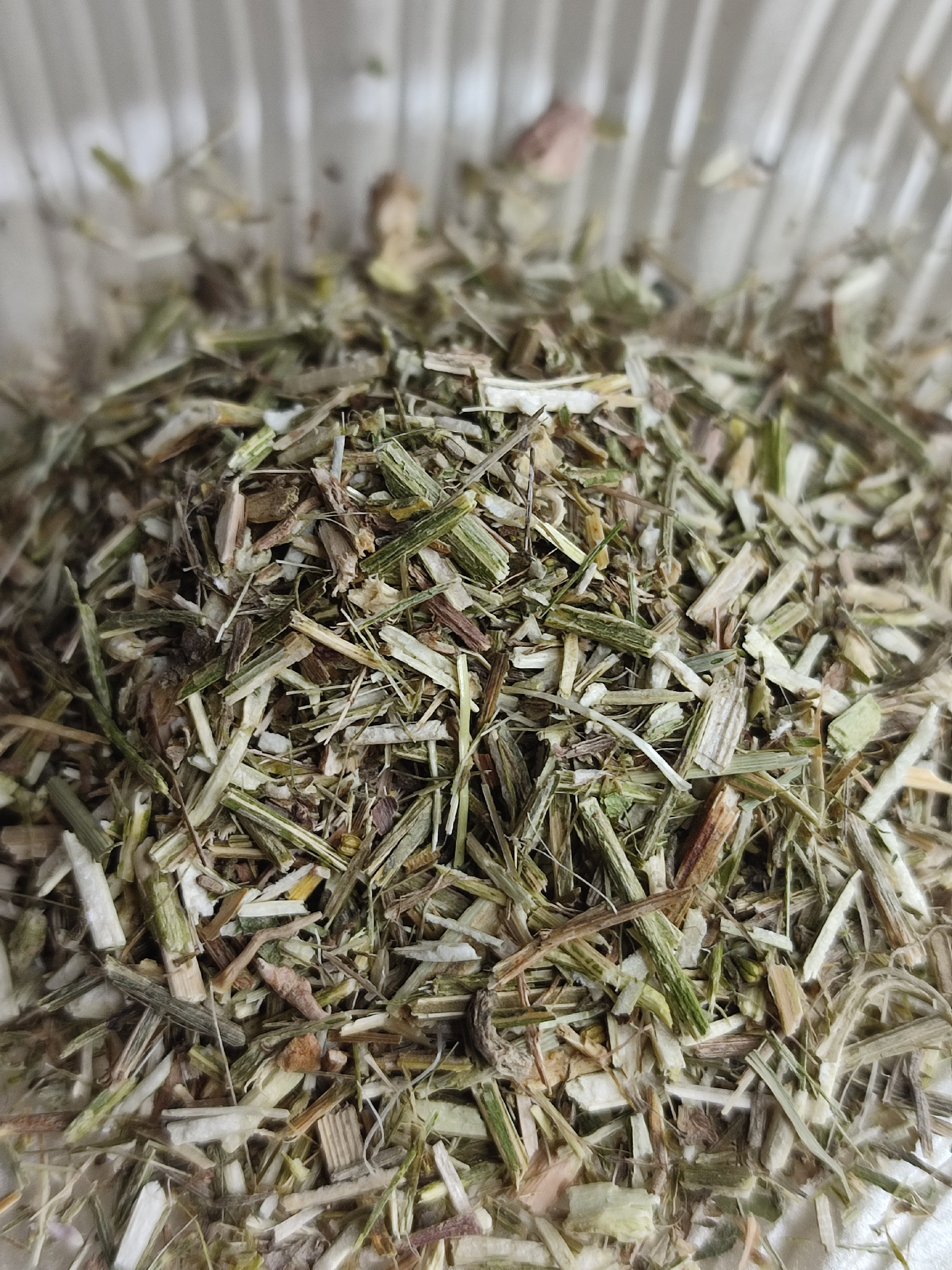 Sporýš nať (Vervain) 5g