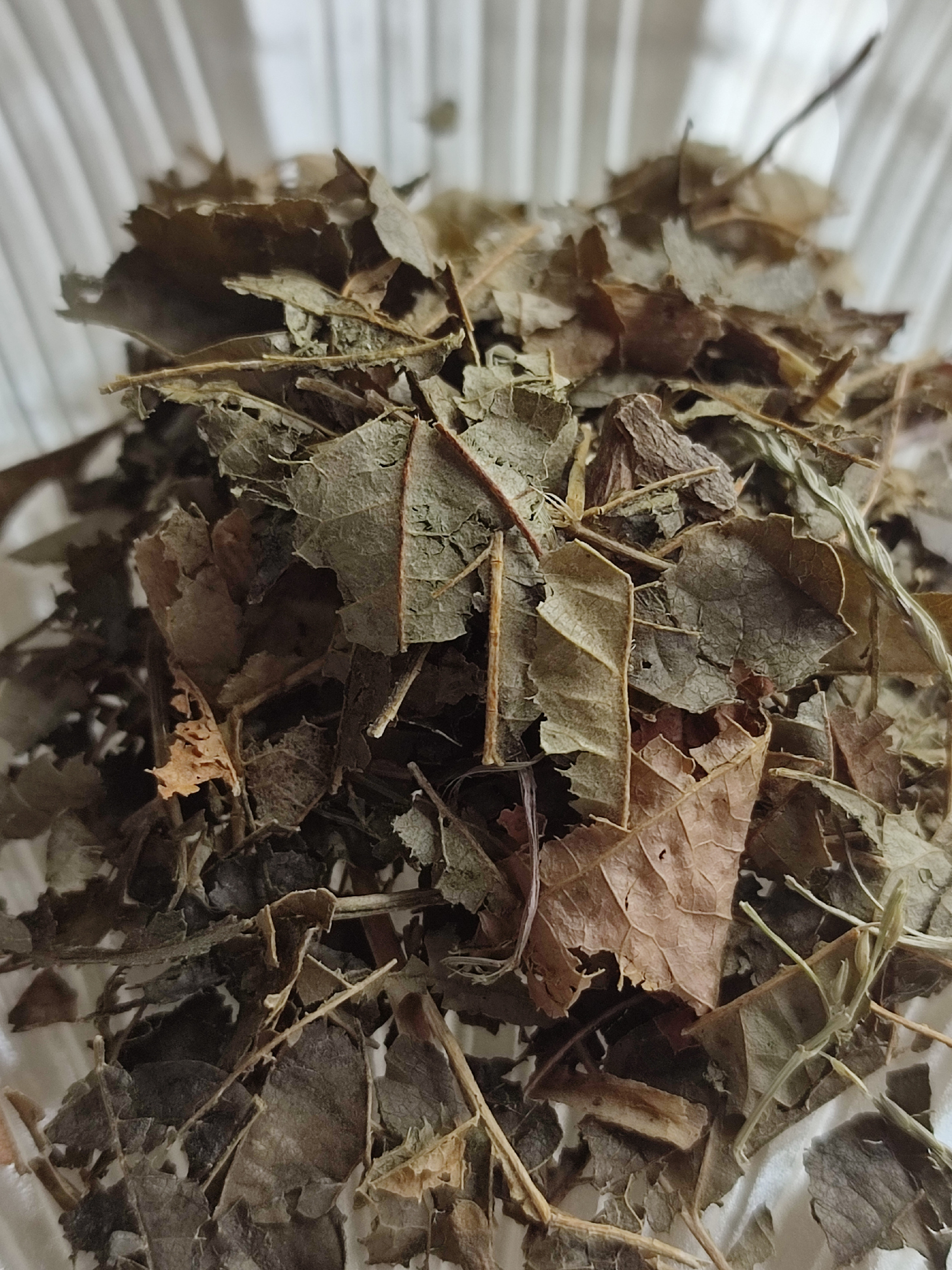 Vilín list (Witch hazel) 3g