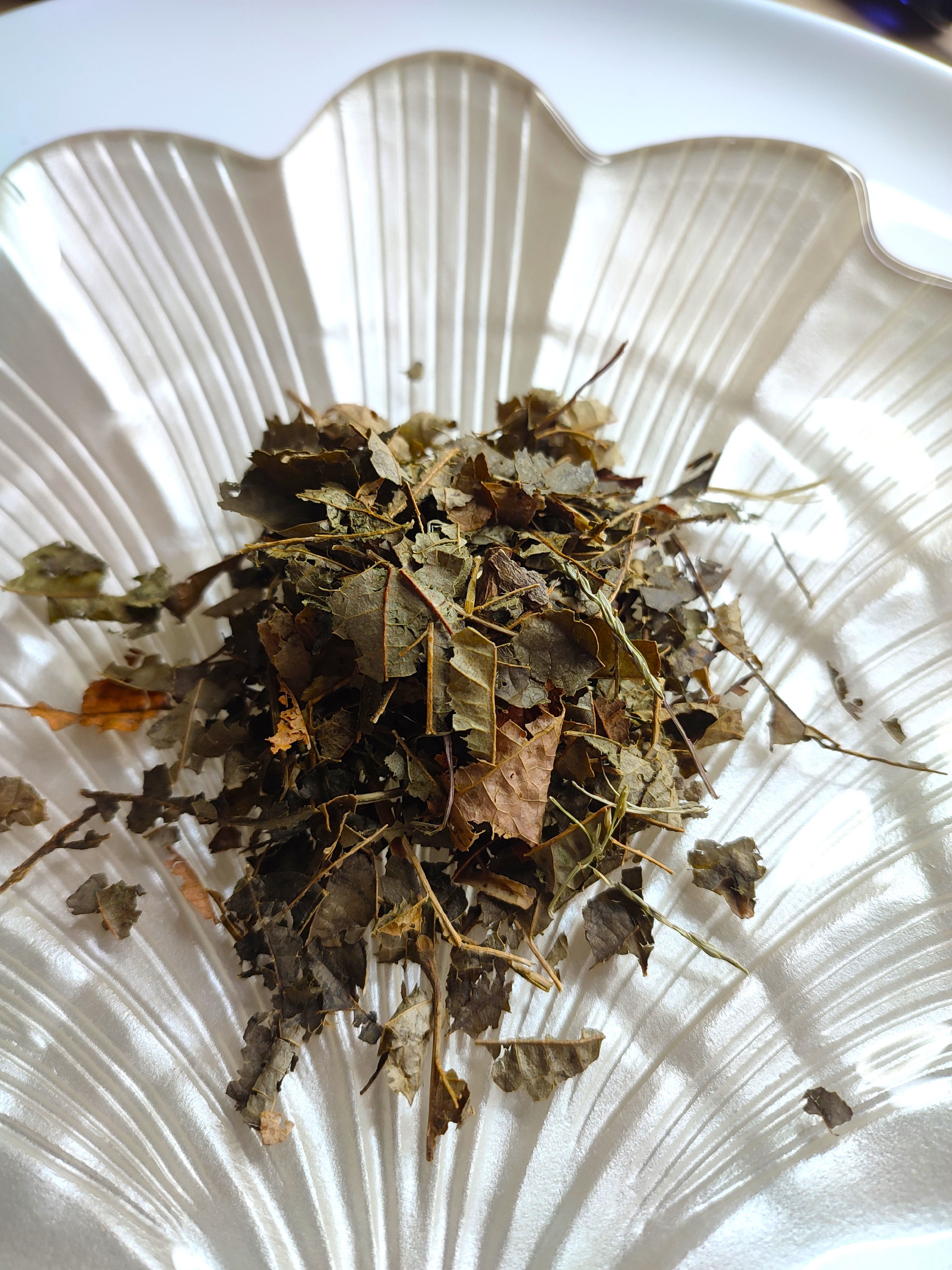 Vilín list (Witch hazel) 3g