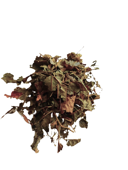 Vilín list (Witch hazel) 3g