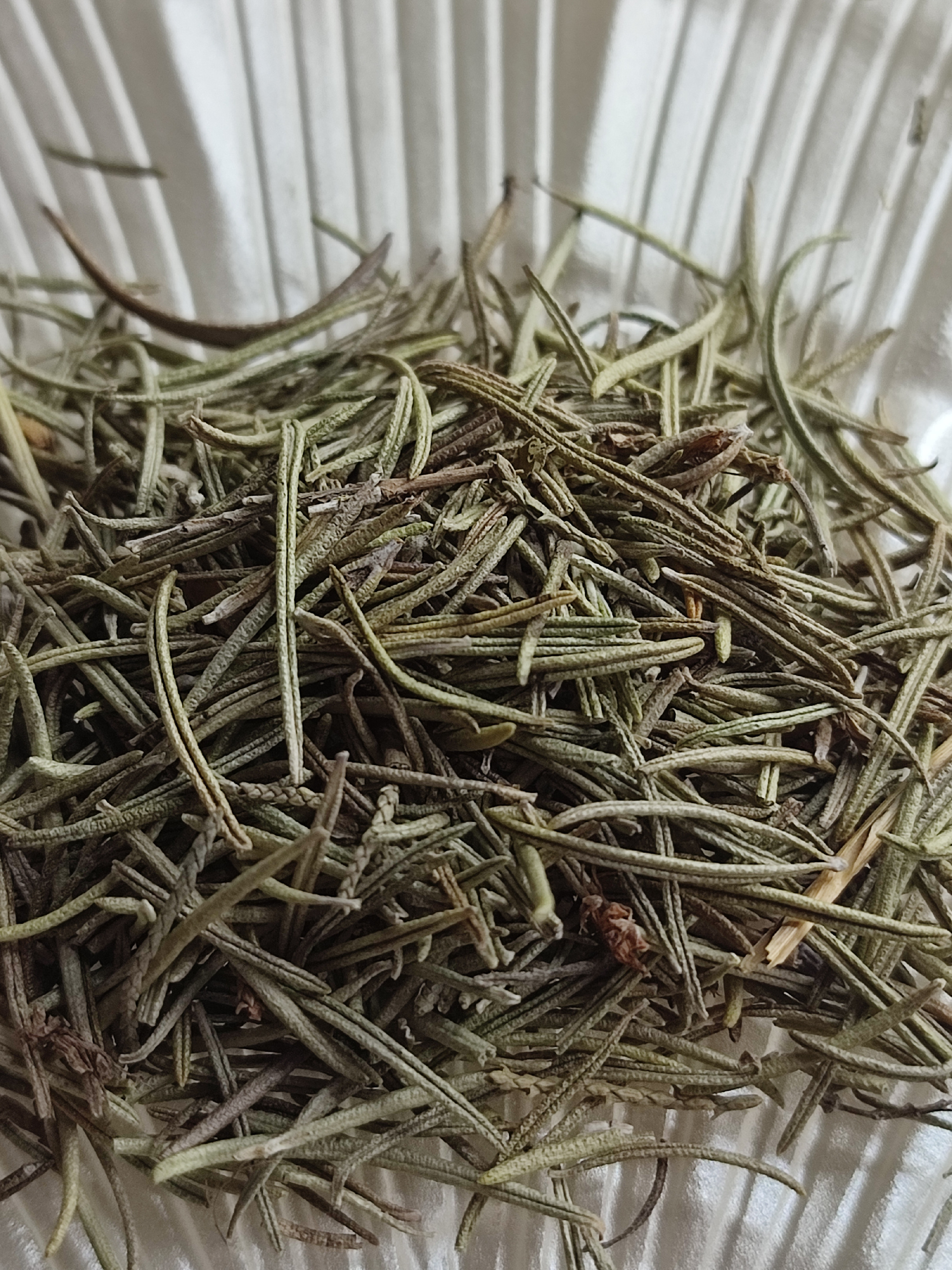 Rozmarýn list (Rosemary) 5g