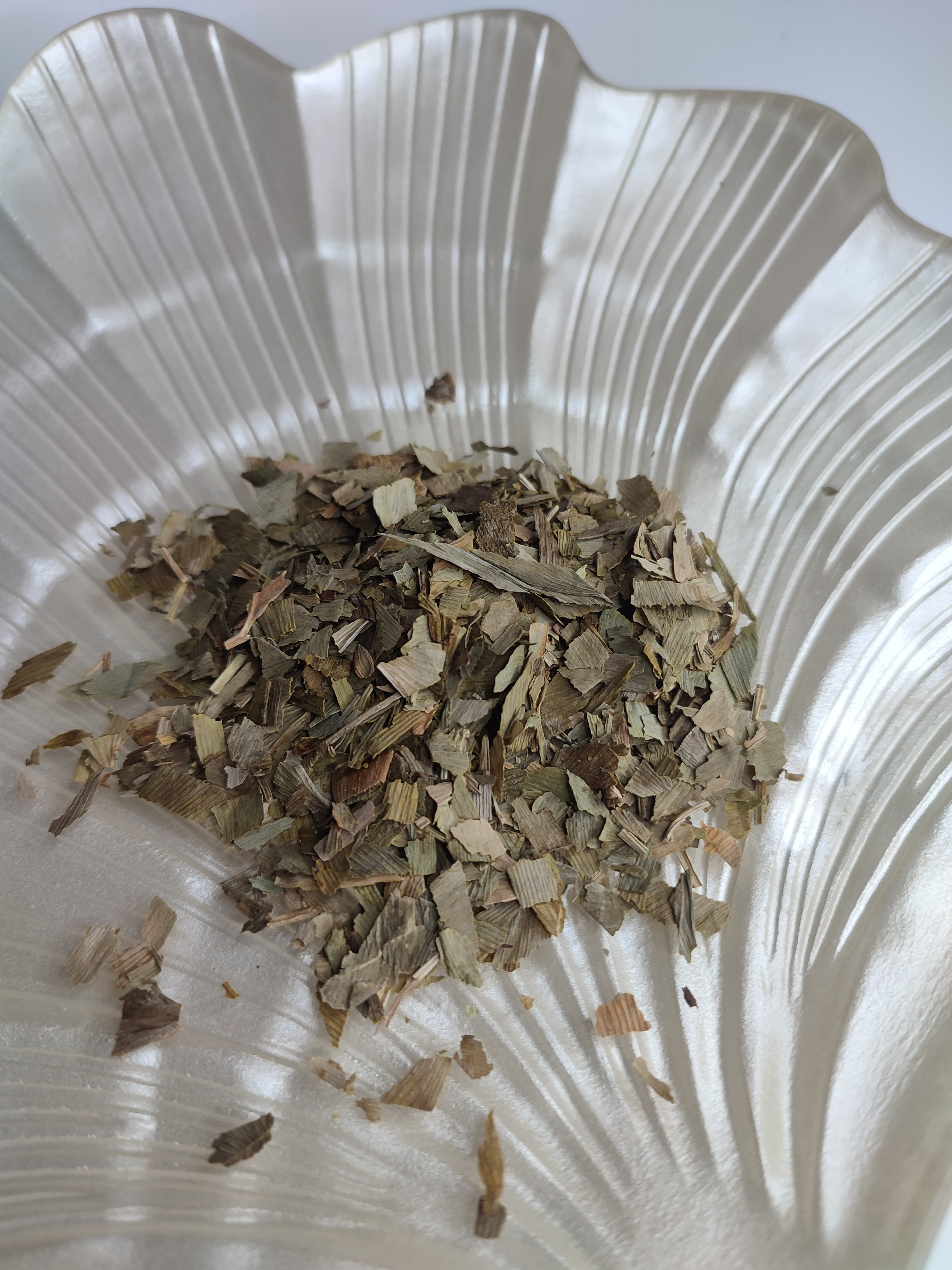 Ginkgo biloba (Witch's Broom) 3g