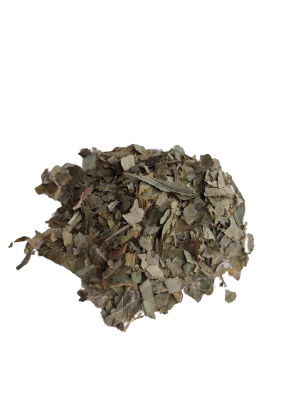 Ginkgo biloba (Witch's Broom) 3g