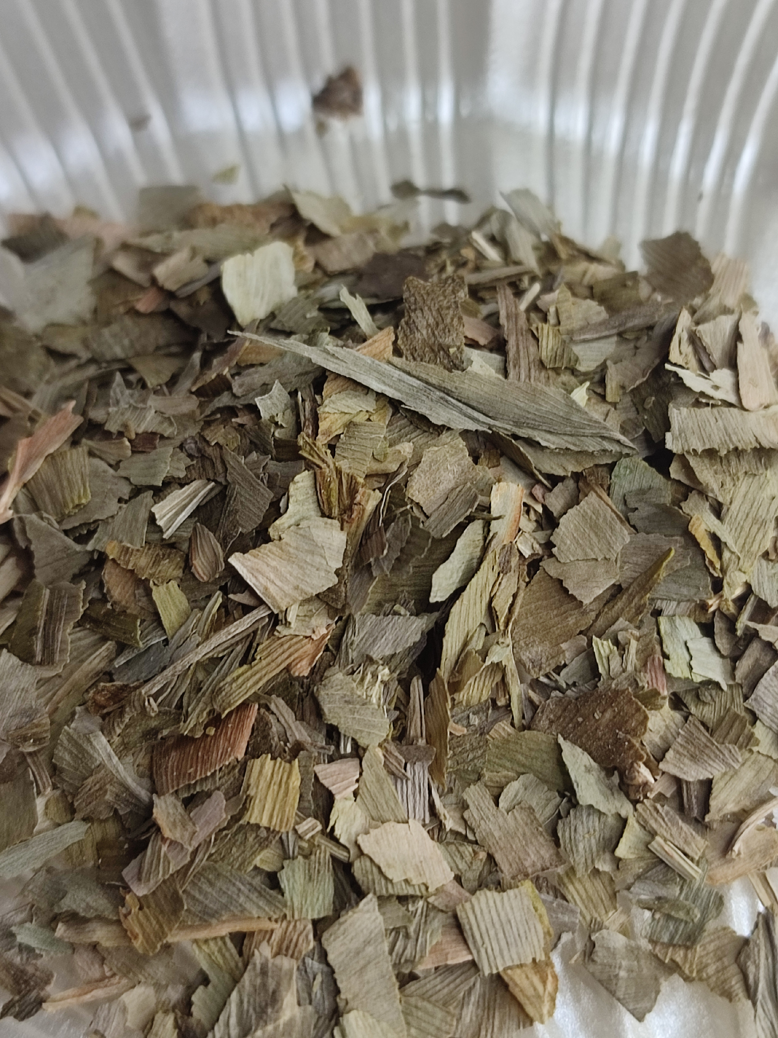 Ginkgo biloba (Witch's Broom) 3g