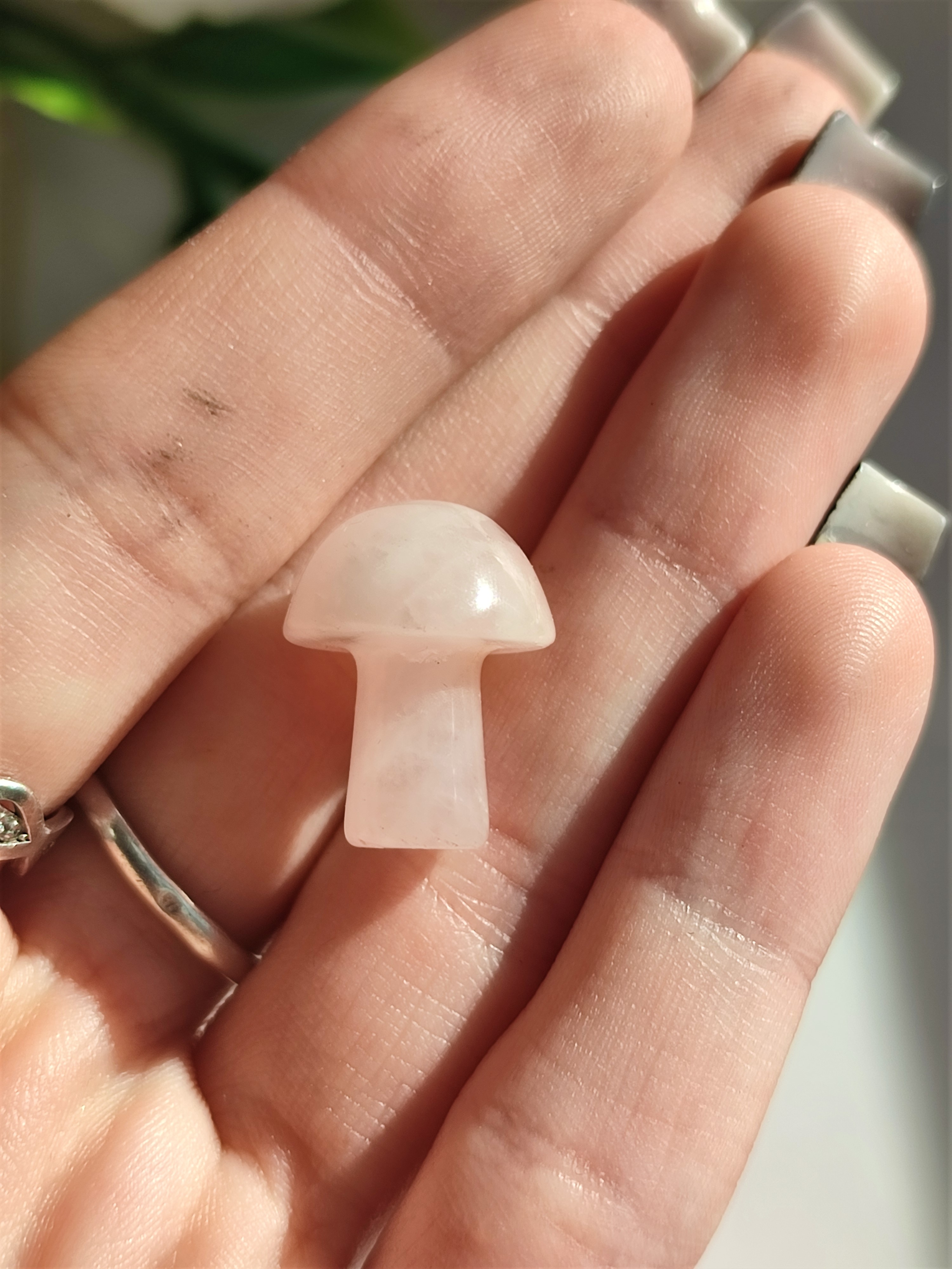 RŮŽENÍN houbička 1,5cm