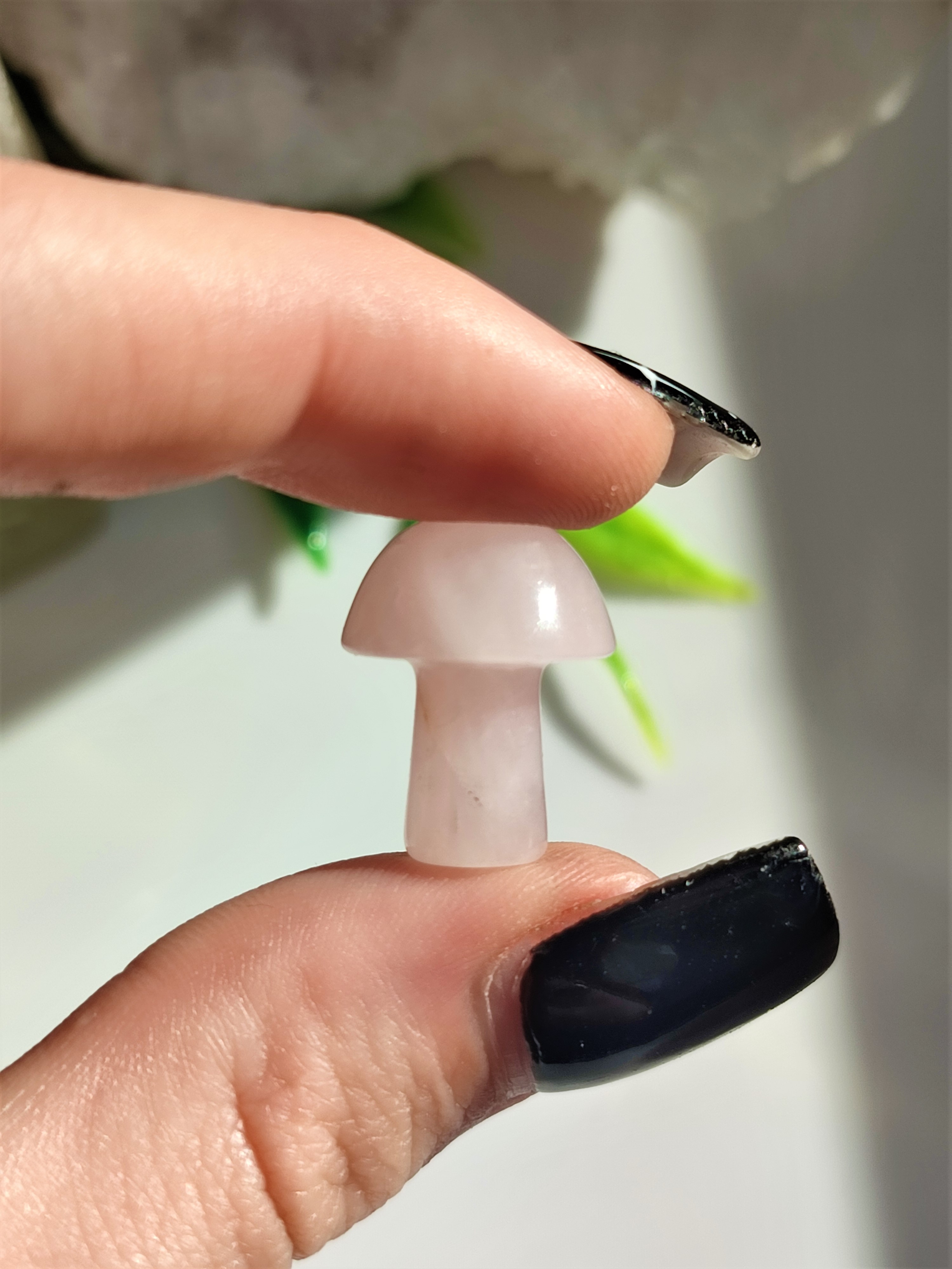 RŮŽENÍN houbička 1,5cm