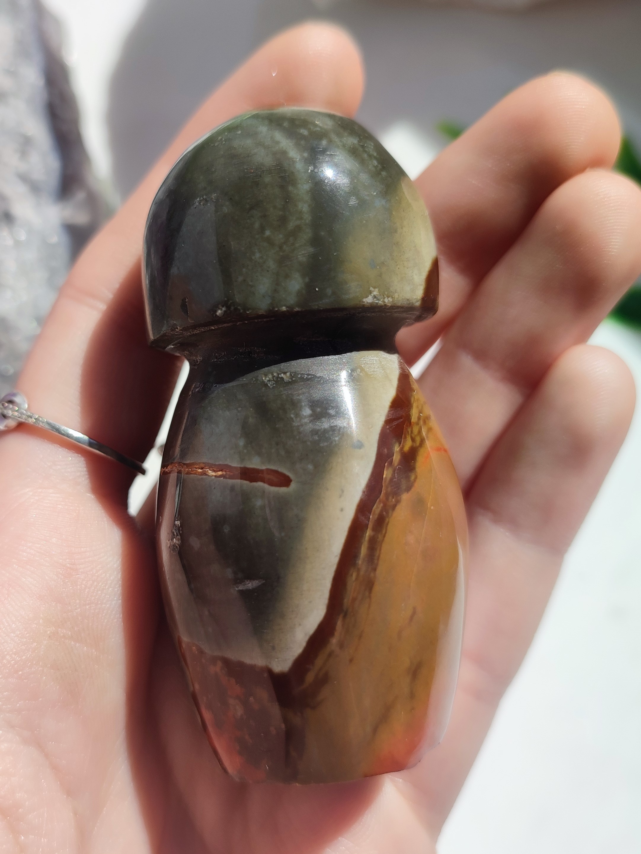 JASPIS POLYCHROM houba 105g č.4