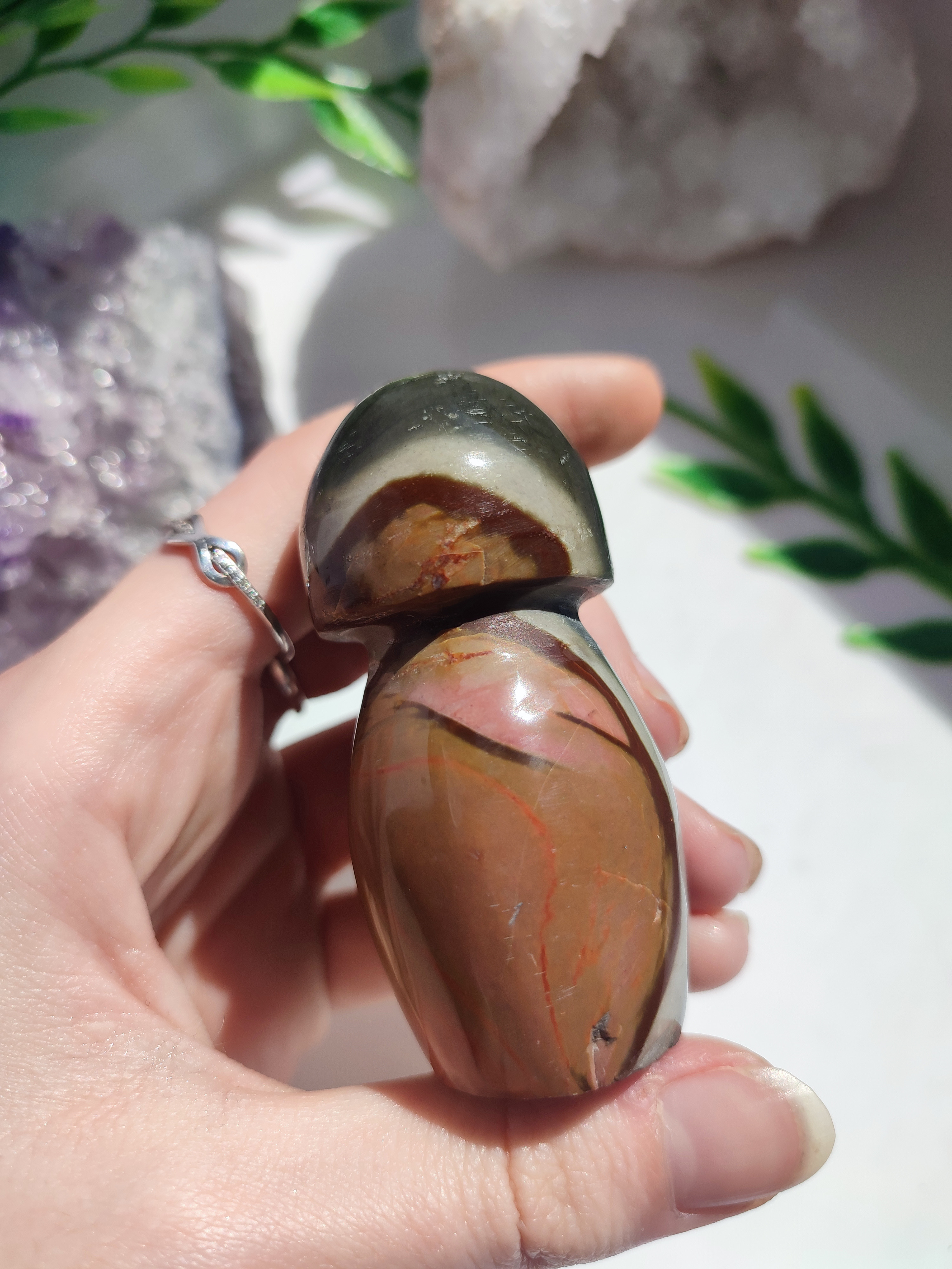 JASPIS POLYCHROM houba 105g č.4