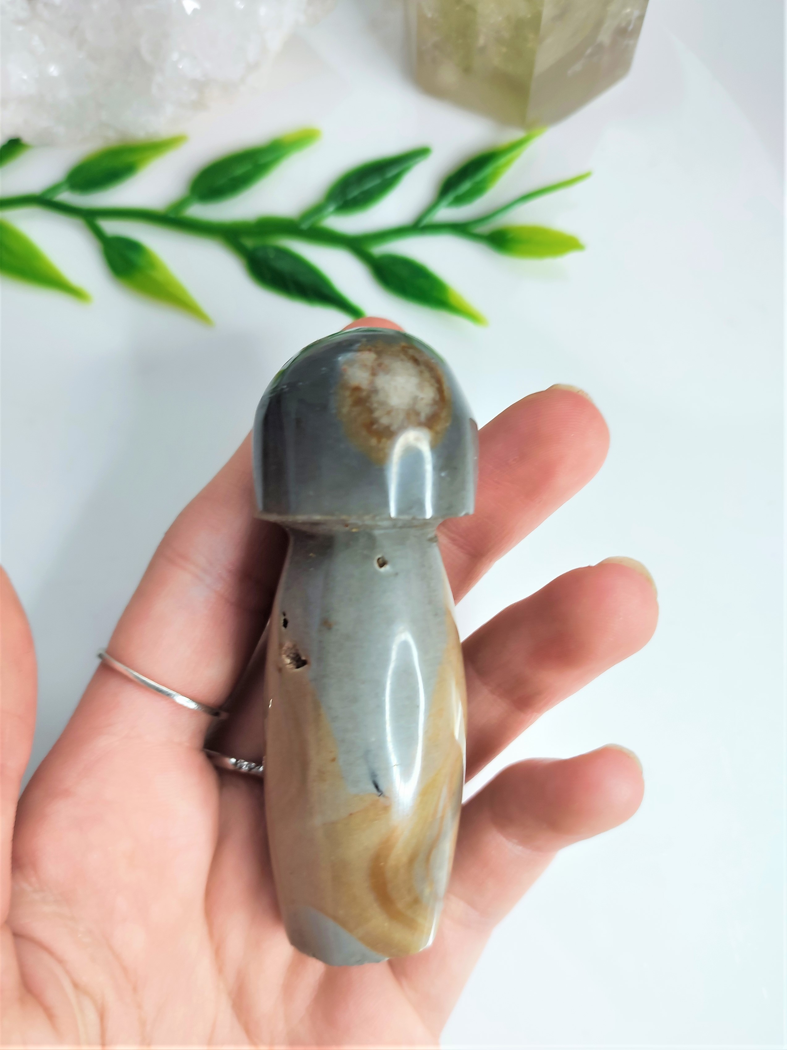 JASPIS POLYCHROM houba 89g č.3