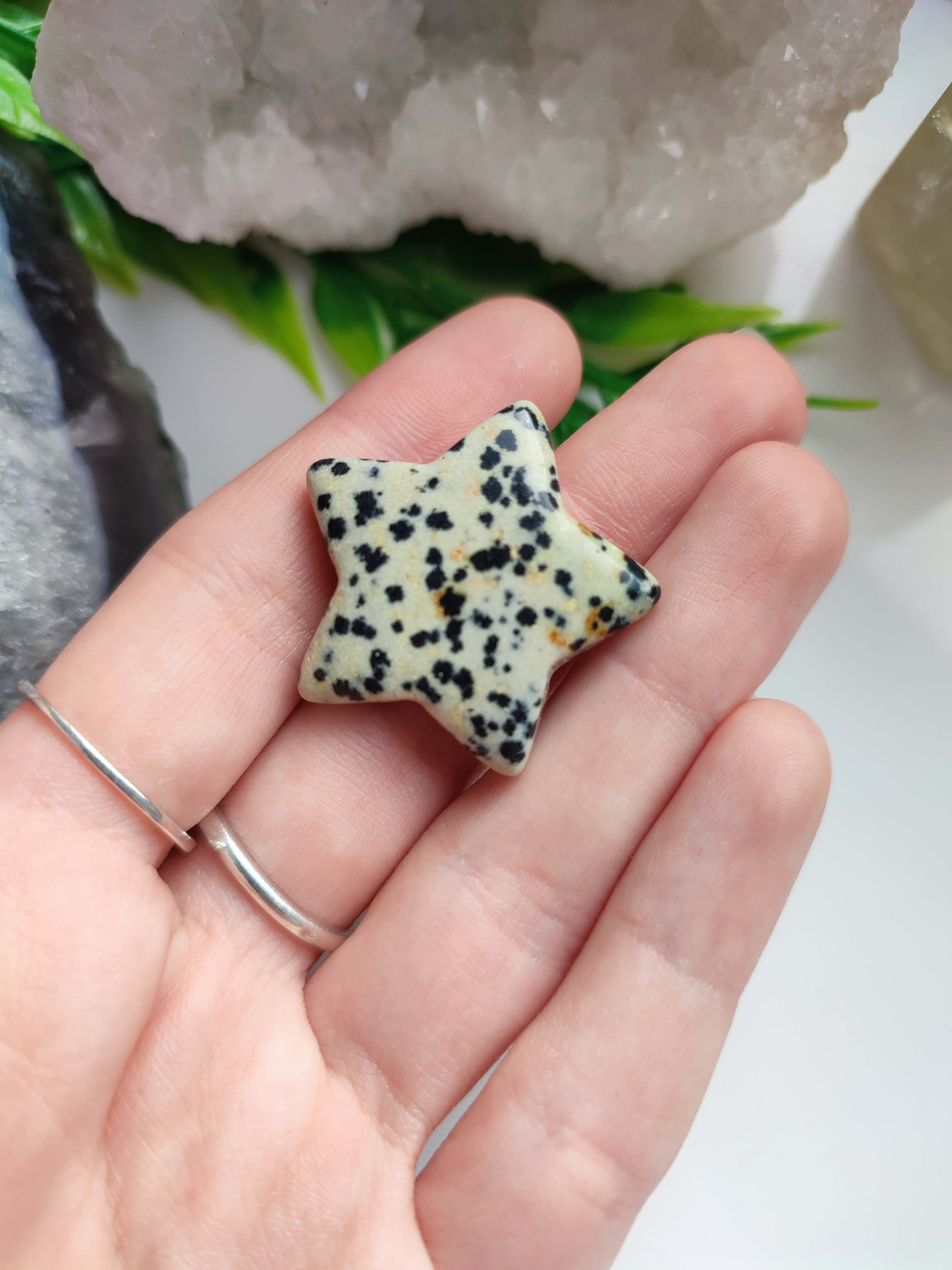 JASPIS DALMATIN hvězdička 3cm