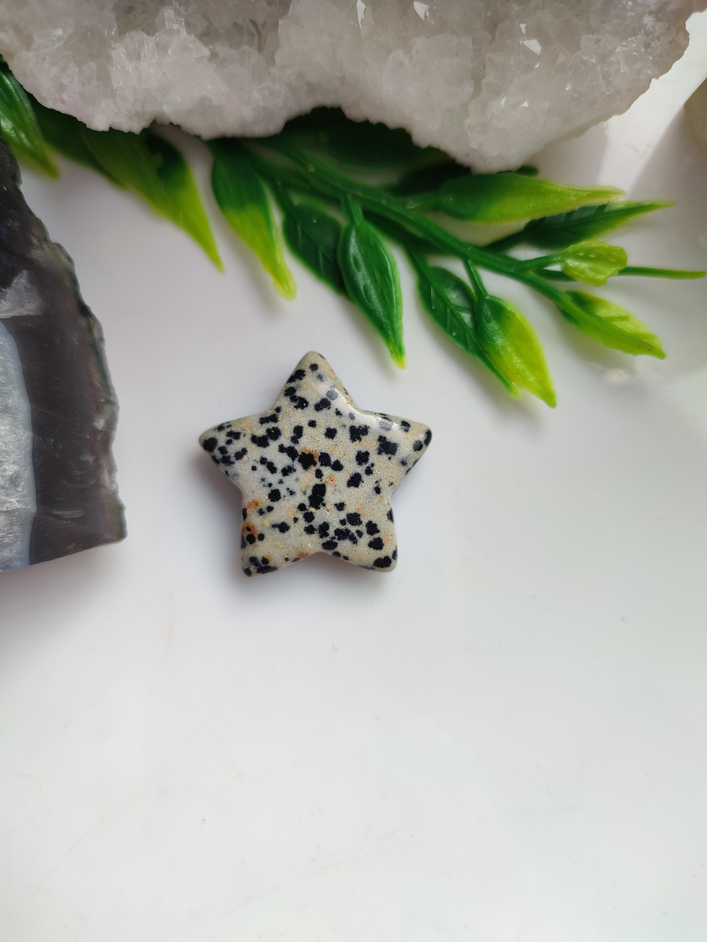 JASPIS DALMATIN hvězdička 3cm
