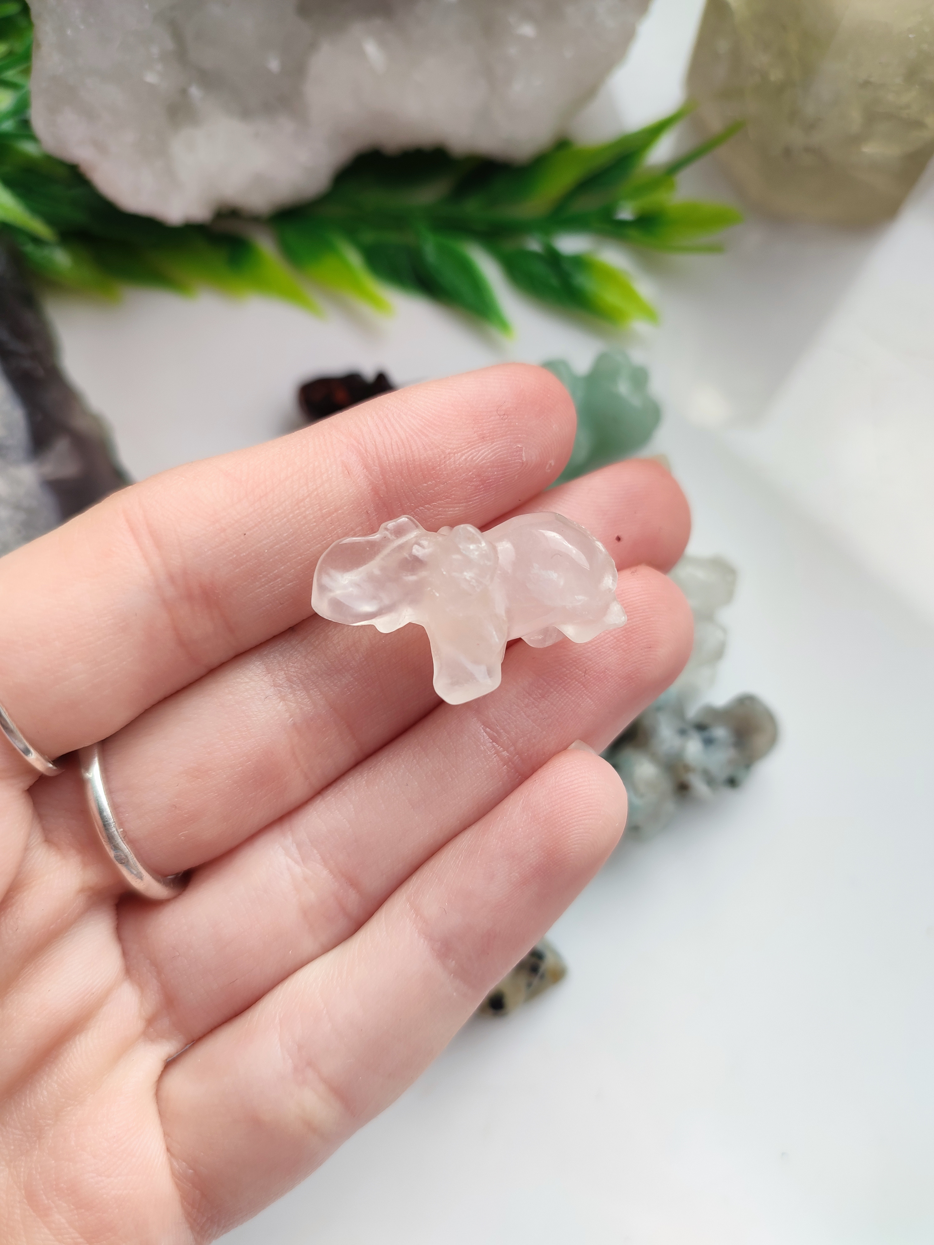 MINI SLONÍK 2,5cm různé druhy