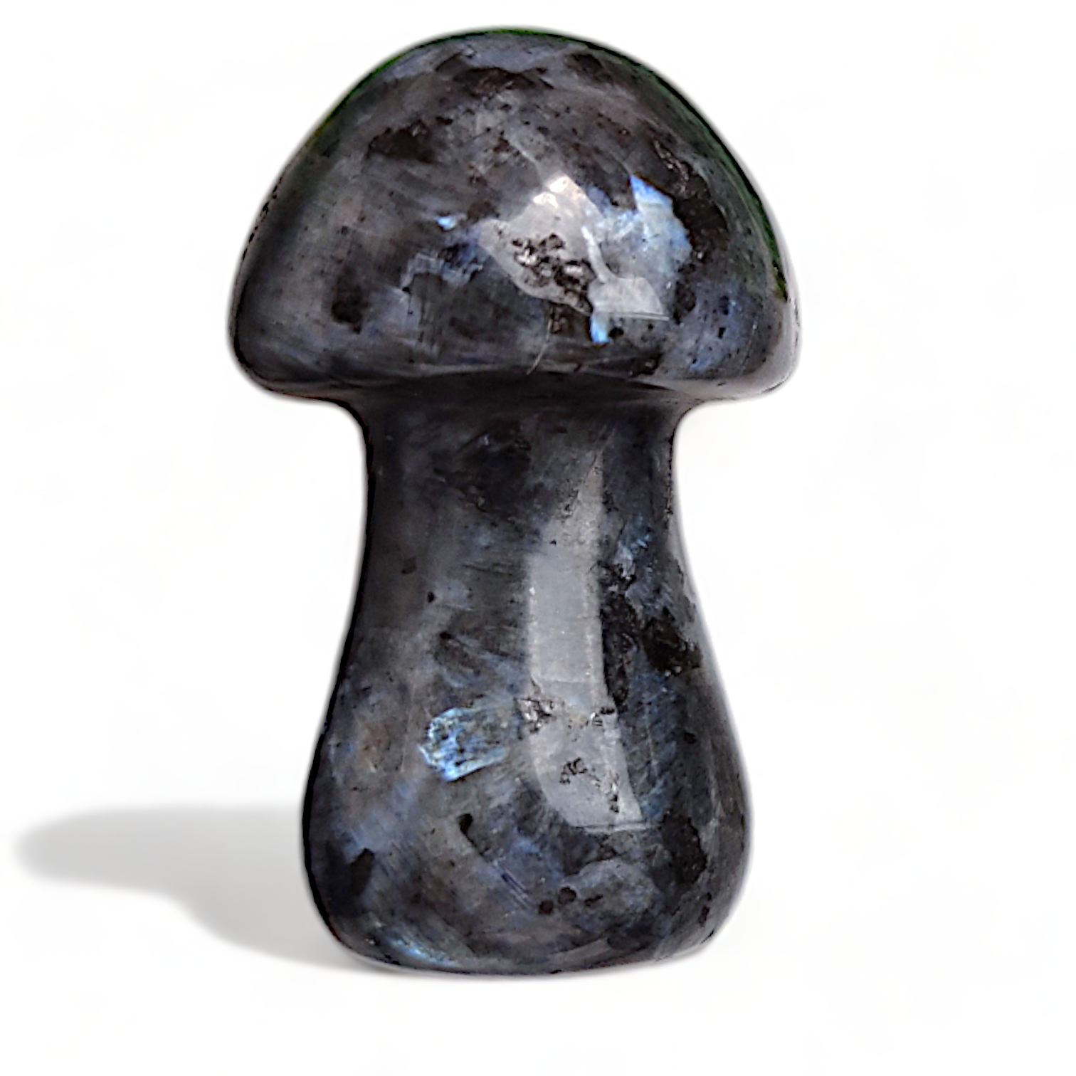 LARVIKIT houbička 3,5cm